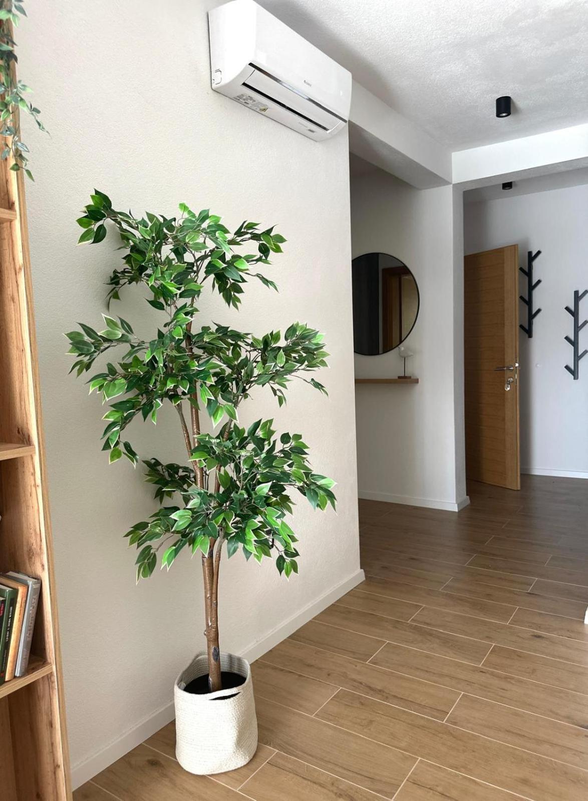 Apartmani Palada Poljica  Luaran gambar